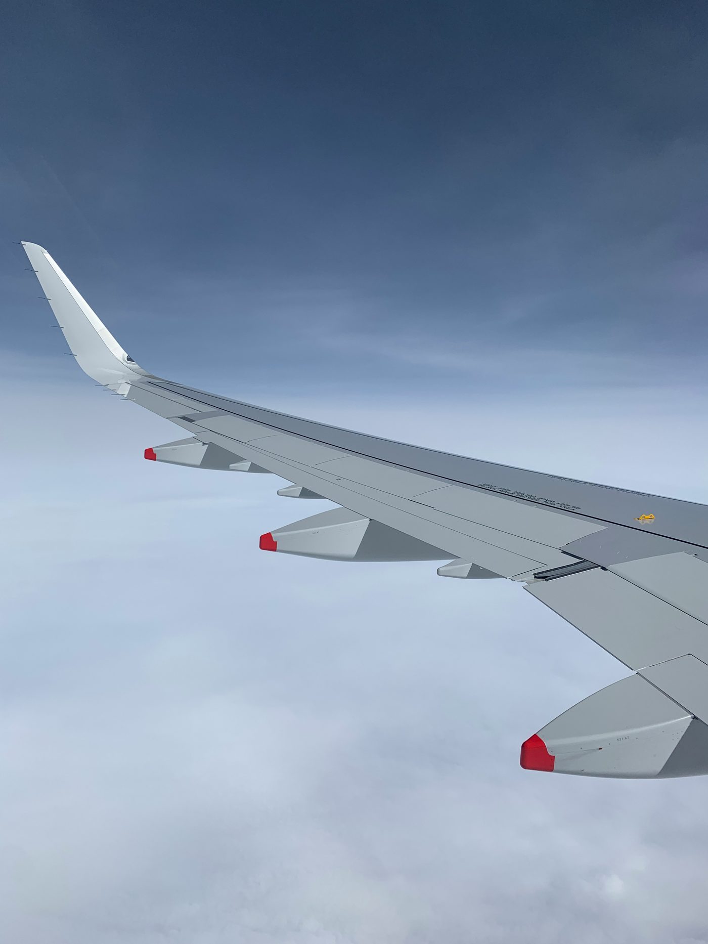 A wing above a calm layer of cloud.